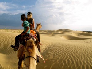 People riding camels